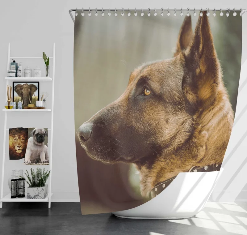 Noble German Shepherd Loyal Guardian Shower Curtain