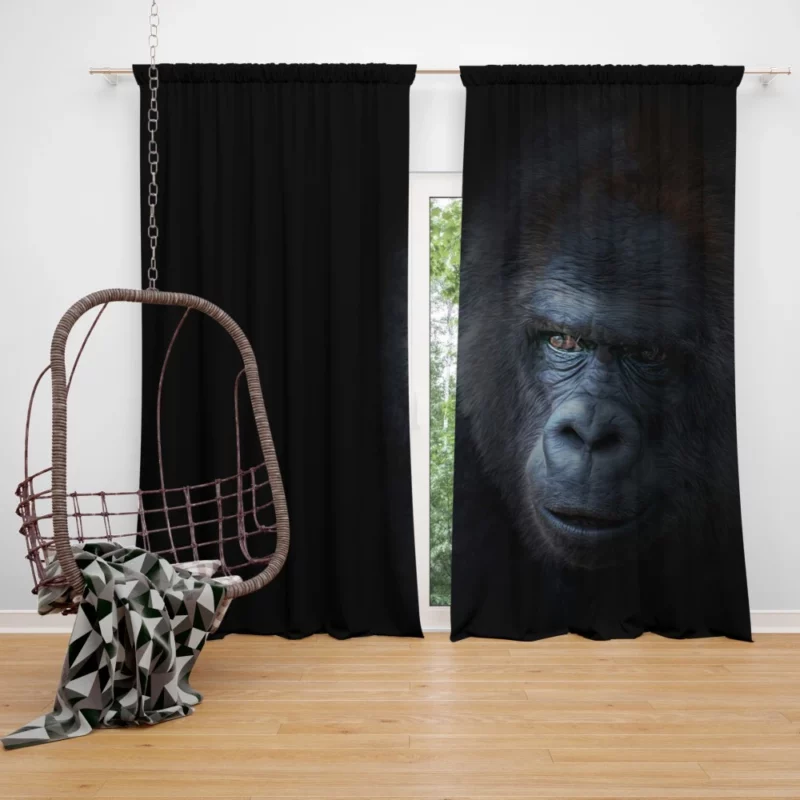 Noble Gorilla Wisdom Wilderness Majesty Curtain