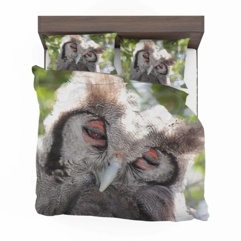 Nocturnal Majesty Owl Silent Observation Bedding Set 1