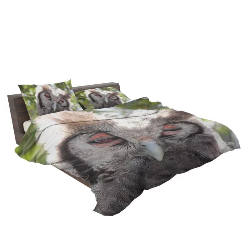 Nocturnal Majesty Owl Silent Observation Bedding Set 2