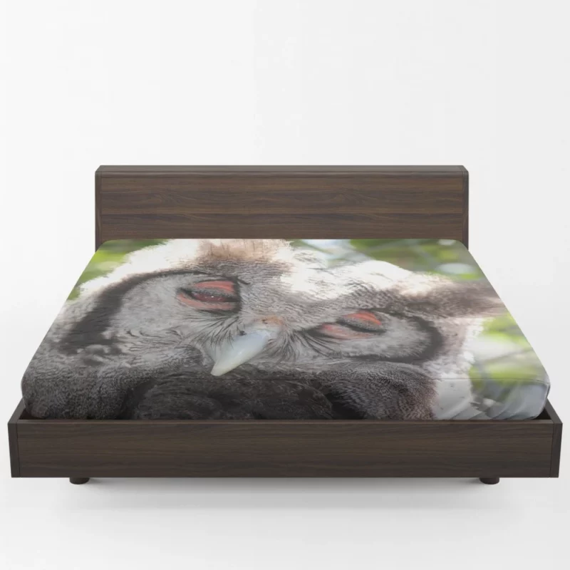 Nocturnal Majesty Owl Silent Observation Fitted Sheet