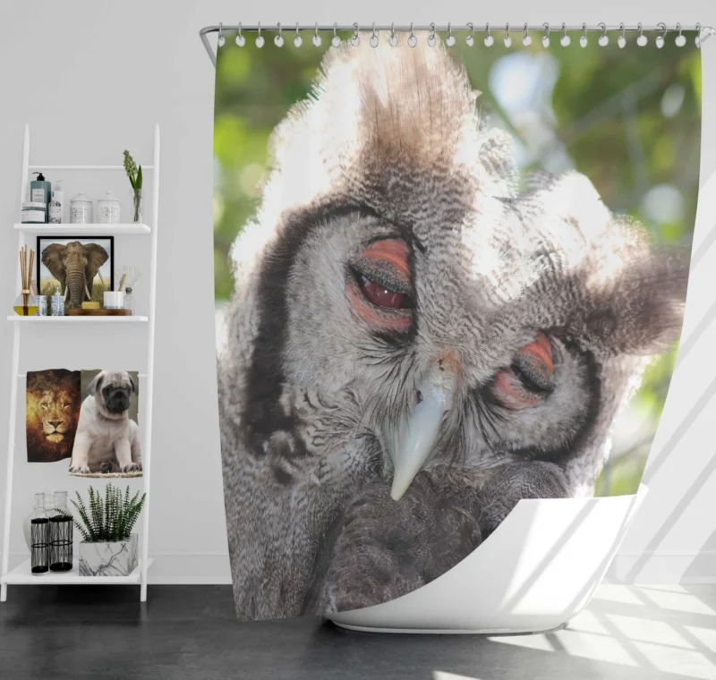 Nocturnal Majesty Owl Silent Observation Shower Curtain