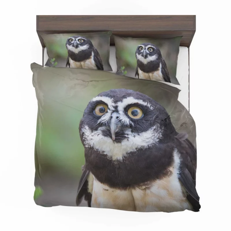 Nocturnal Vigil Owl Night Watch Bedding Set 1