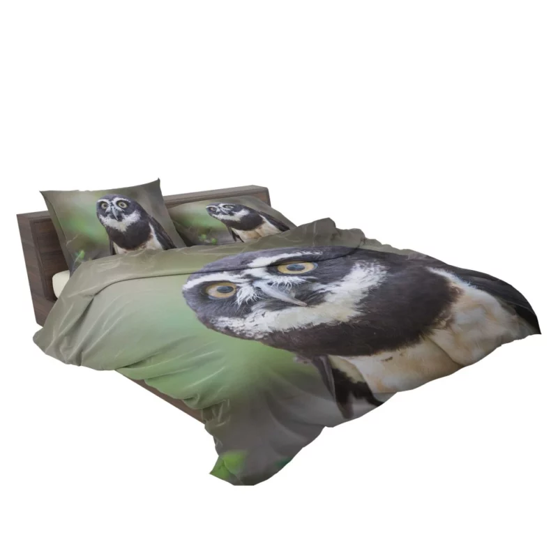 Nocturnal Vigil Owl Night Watch Bedding Set 2