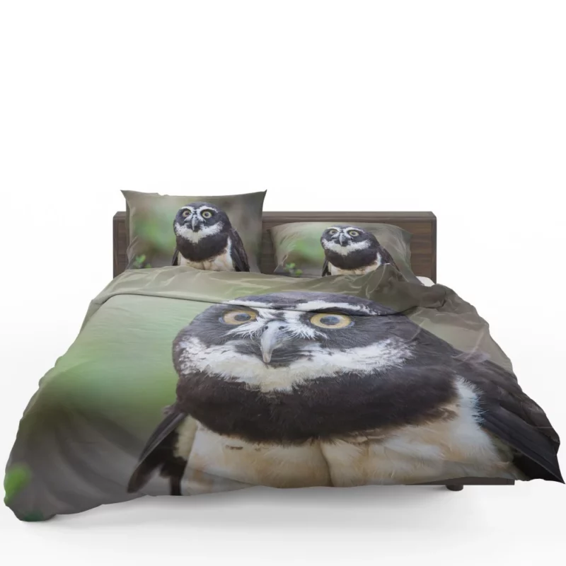 Nocturnal Vigil Owl Night Watch Bedding Set