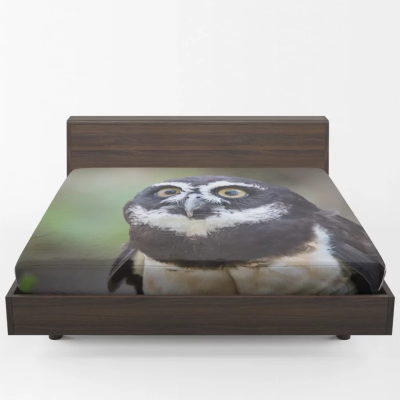 Nocturnal Vigil Owl Night Watch Fitted Sheet