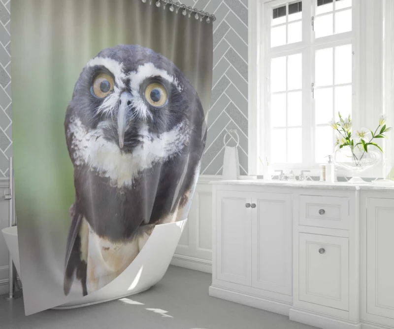 Nocturnal Vigil Owl Night Watch Shower Curtain 1