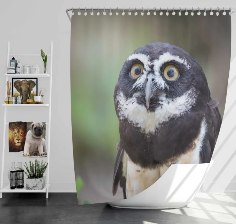 Nocturnal Vigil Owl Night Watch Shower Curtain