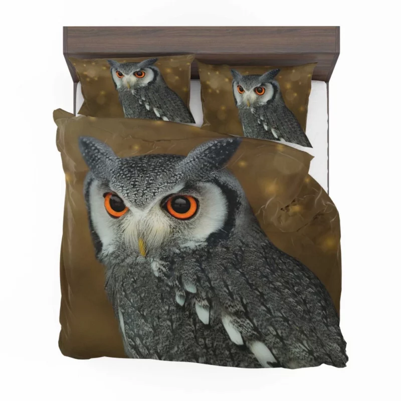 Nocturnal Wonder Owl Mysterious Gaze Bedding Set 1