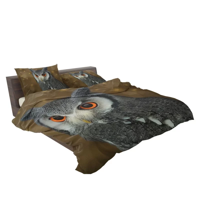 Nocturnal Wonder Owl Mysterious Gaze Bedding Set 2