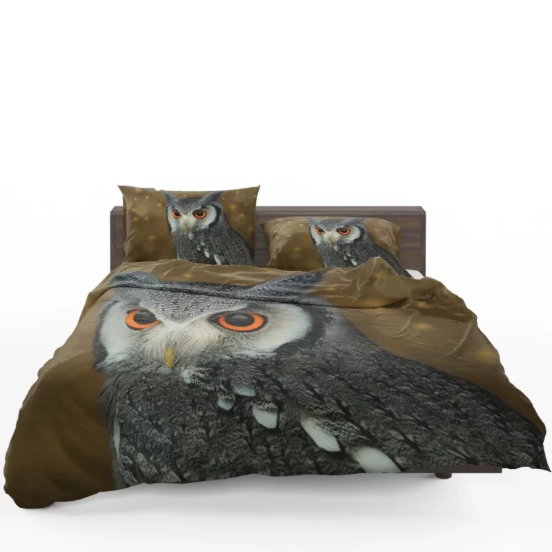 Nocturnal Wonder Owl Mysterious Gaze Bedding Set