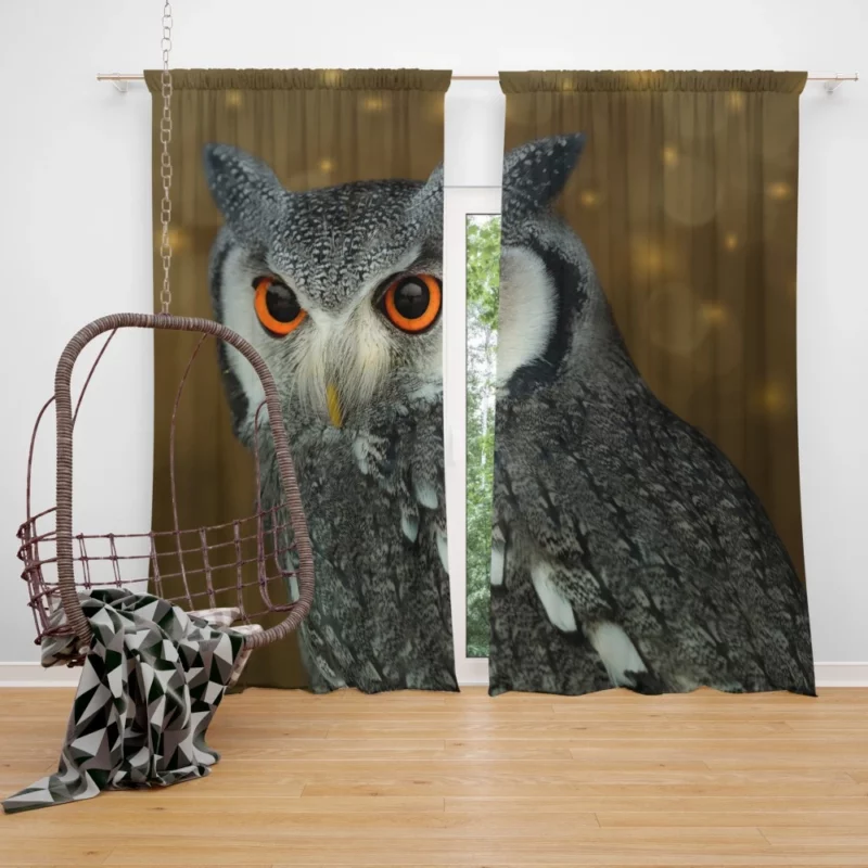 Nocturnal Wonder Owl Mysterious Gaze Curtain