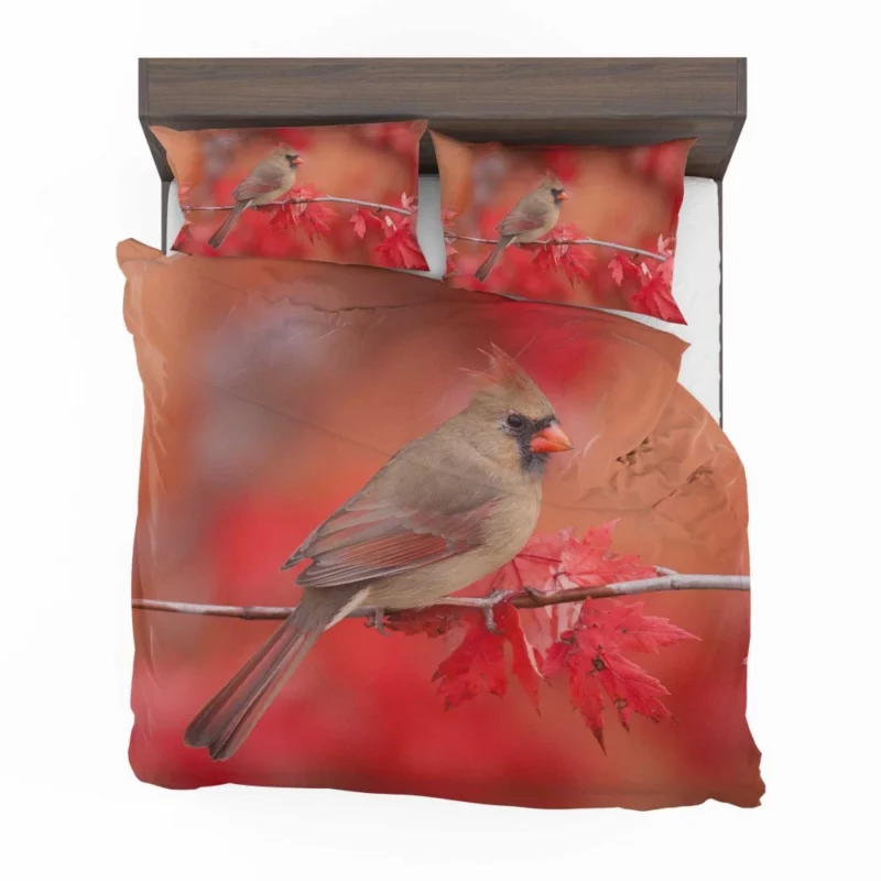 Northern Cardinal Fall Beauty Vibrant Bird Bedding Set 1