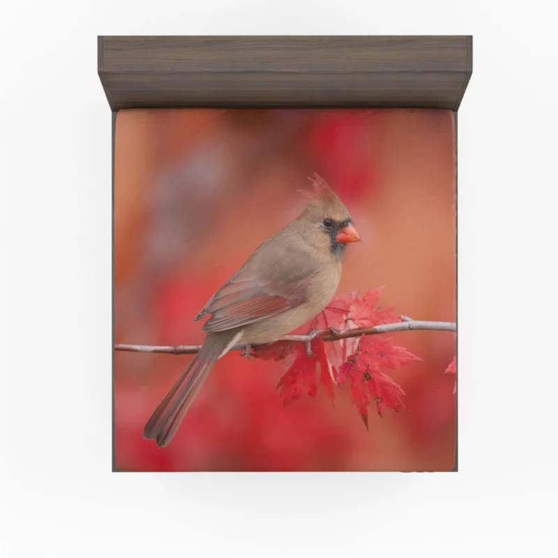 Northern Cardinal Fall Beauty Vibrant Bird Fitted Sheet 1