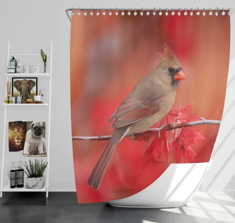 Northern Cardinal Fall Beauty Vibrant Bird Shower Curtain