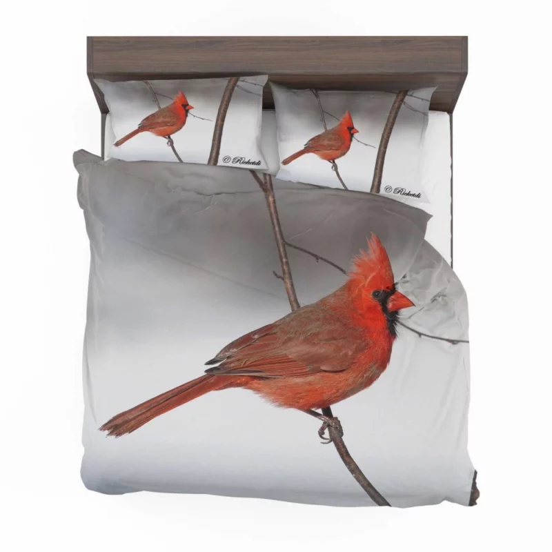 Northern Cardinal Songful Melody Vibrant Bird Bedding Set 1