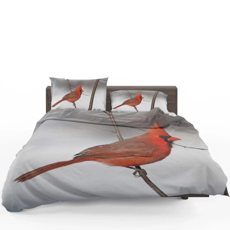 Northern Cardinal Songful Melody Vibrant Bird Bedding Set