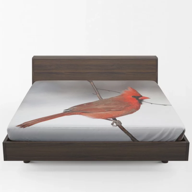 Northern Cardinal Songful Melody Vibrant Bird Fitted Sheet