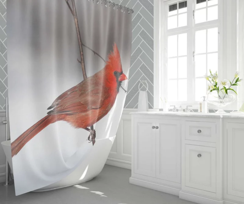 Northern Cardinal Songful Melody Vibrant Bird Shower Curtain 1