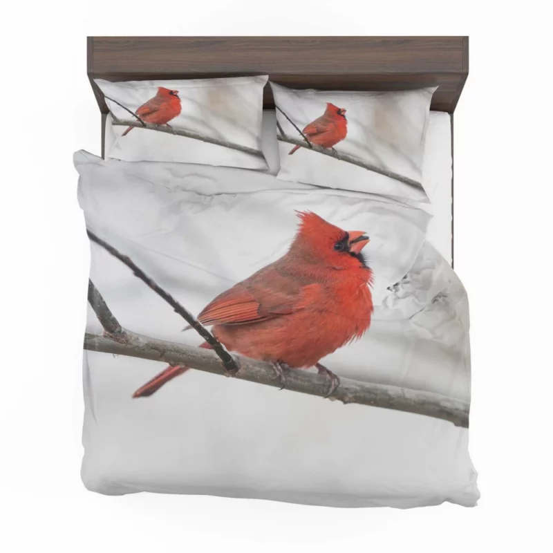 Northern Cardinal Winter Stance Vibrant Watcher Bedding Set 1