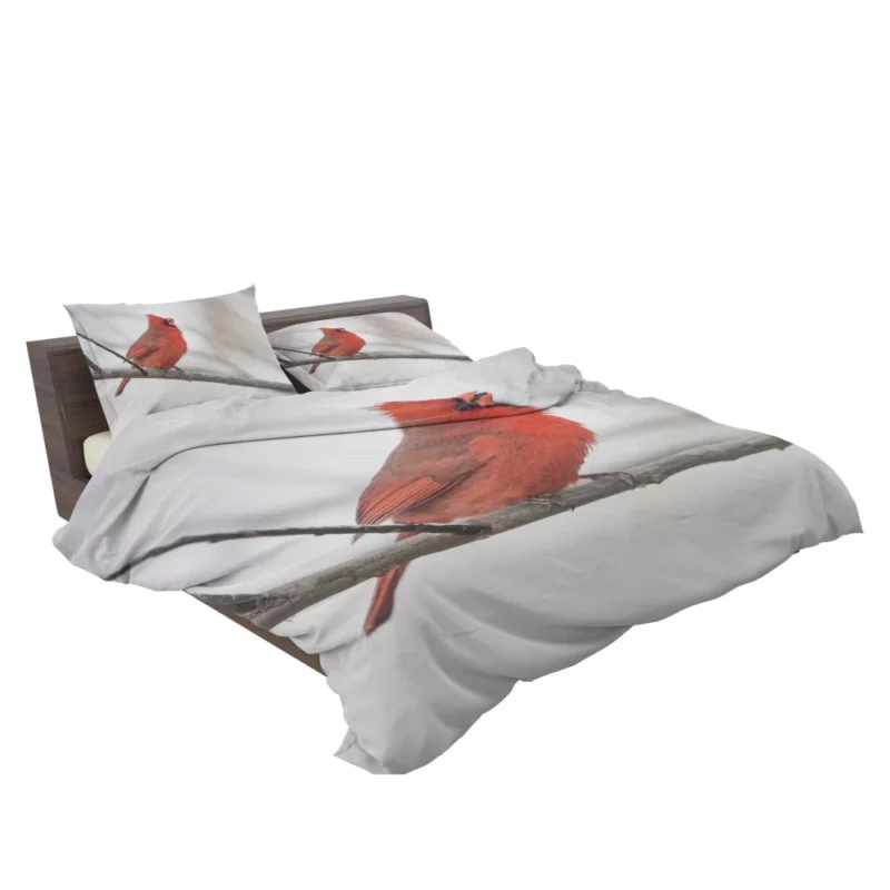 Northern Cardinal Winter Stance Vibrant Watcher Bedding Set 2