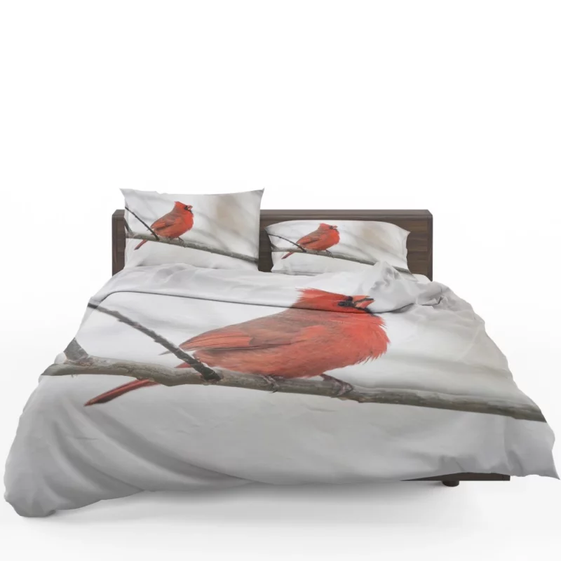 Northern Cardinal Winter Stance Vibrant Watcher Bedding Set