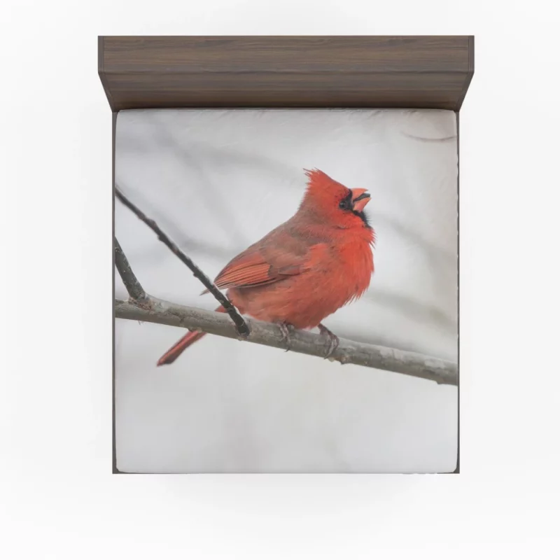 Northern Cardinal Winter Stance Vibrant Watcher Fitted Sheet 1