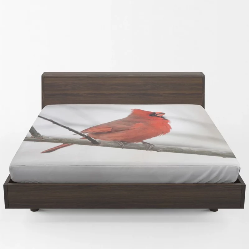 Northern Cardinal Winter Stance Vibrant Watcher Fitted Sheet