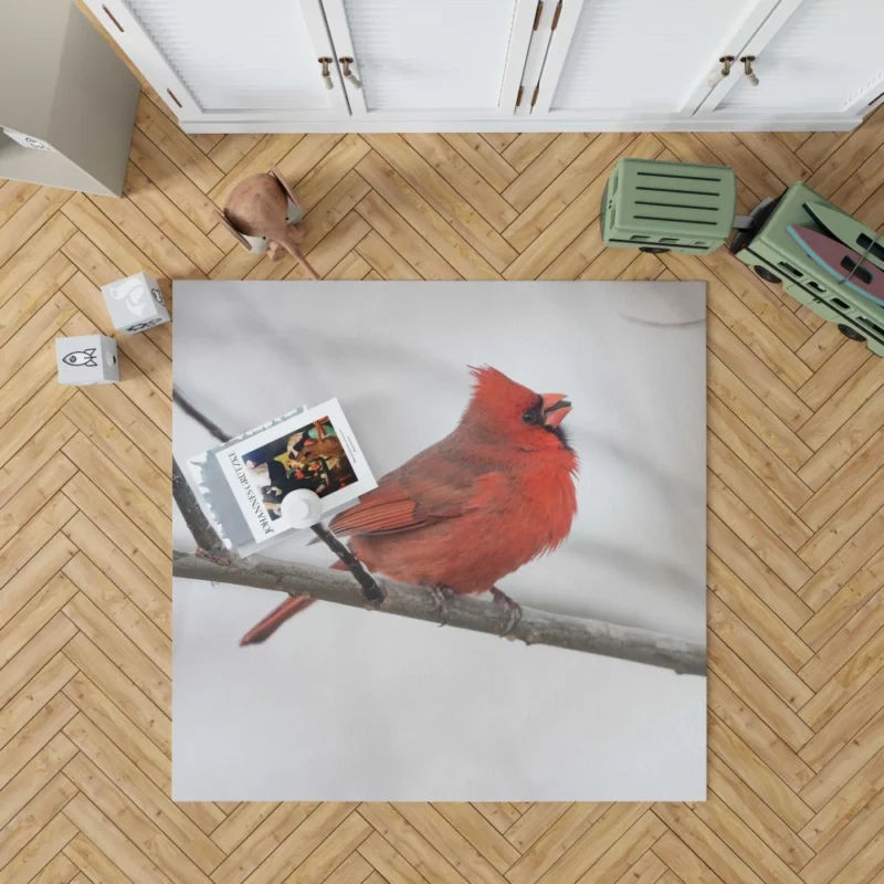 Northern Cardinal Winter Stance Vibrant Watcher Rug