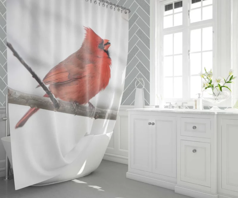 Northern Cardinal Winter Stance Vibrant Watcher Shower Curtain 1