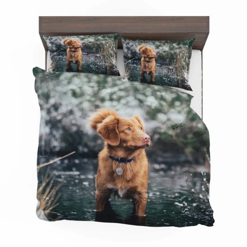 Nova Scotia Duck Tolling Retriever Charm Bedding Set 1