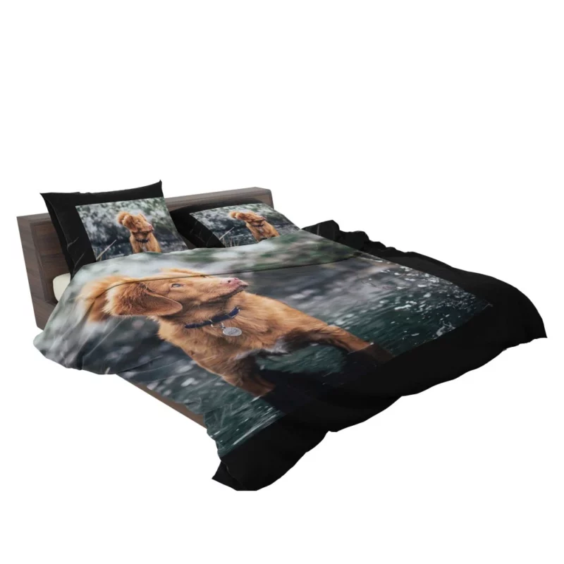 Nova Scotia Duck Tolling Retriever Charm Bedding Set 2