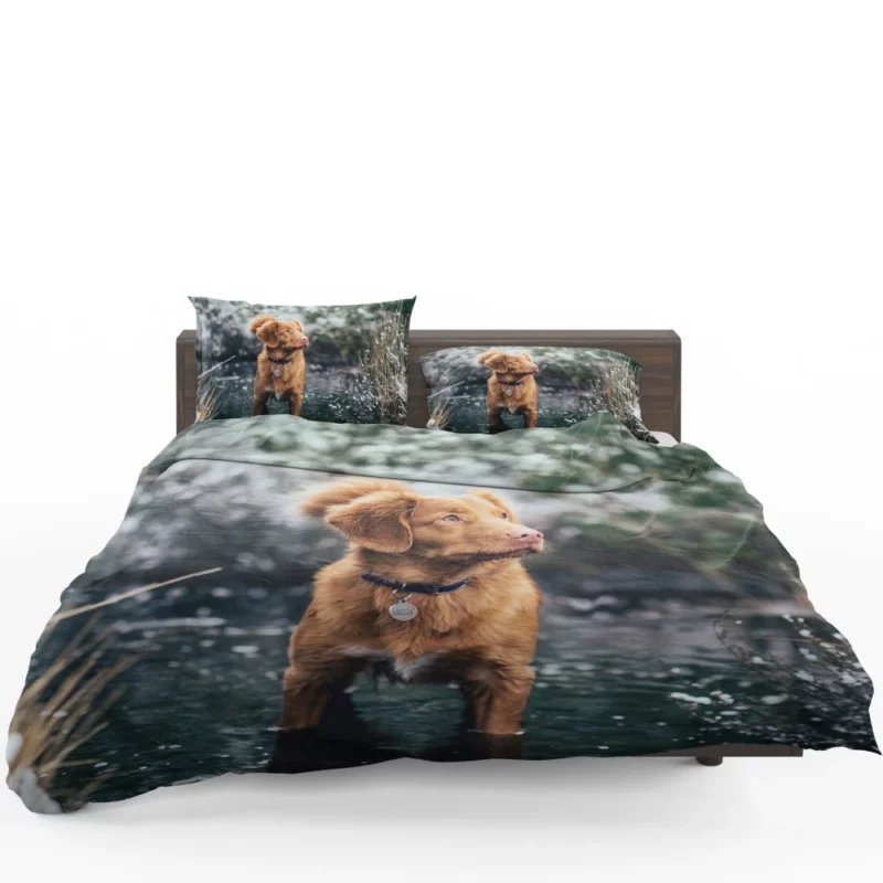 Nova Scotia Duck Tolling Retriever Charm Bedding Set