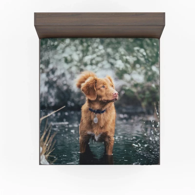 Nova Scotia Duck Tolling Retriever Charm Fitted Sheet 1