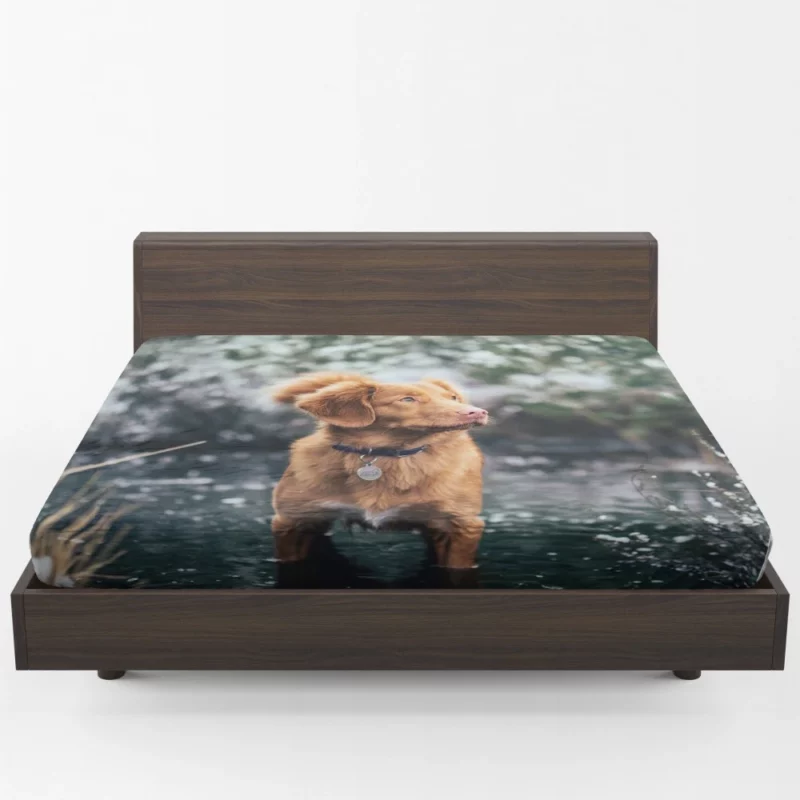 Nova Scotia Duck Tolling Retriever Charm Fitted Sheet