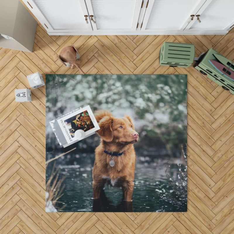 Nova Scotia Duck Tolling Retriever Charm Rug