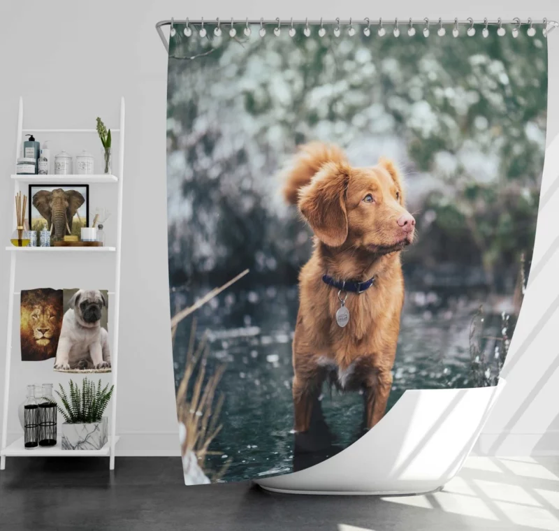 Nova Scotia Duck Tolling Retriever Charm Shower Curtain