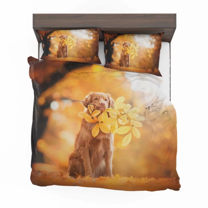 Nova Scotia Duck Tolling in Fall Furry Adventure Bedding Set 1