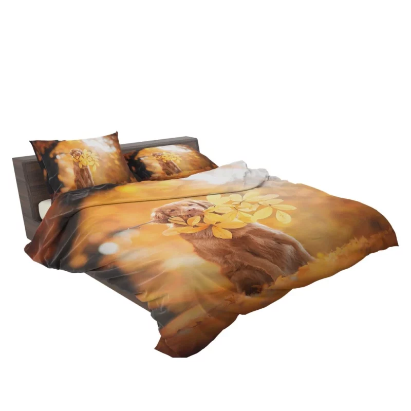 Nova Scotia Duck Tolling in Fall Furry Adventure Bedding Set 2