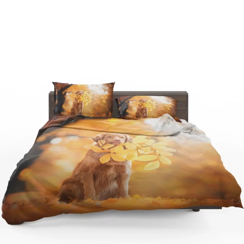 Nova Scotia Duck Tolling in Fall Furry Adventure Bedding Set