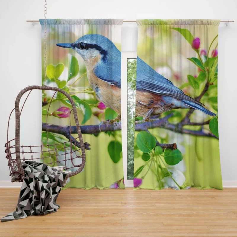 Nuthatch Vibrant Plumage Forest Dweller Curtain