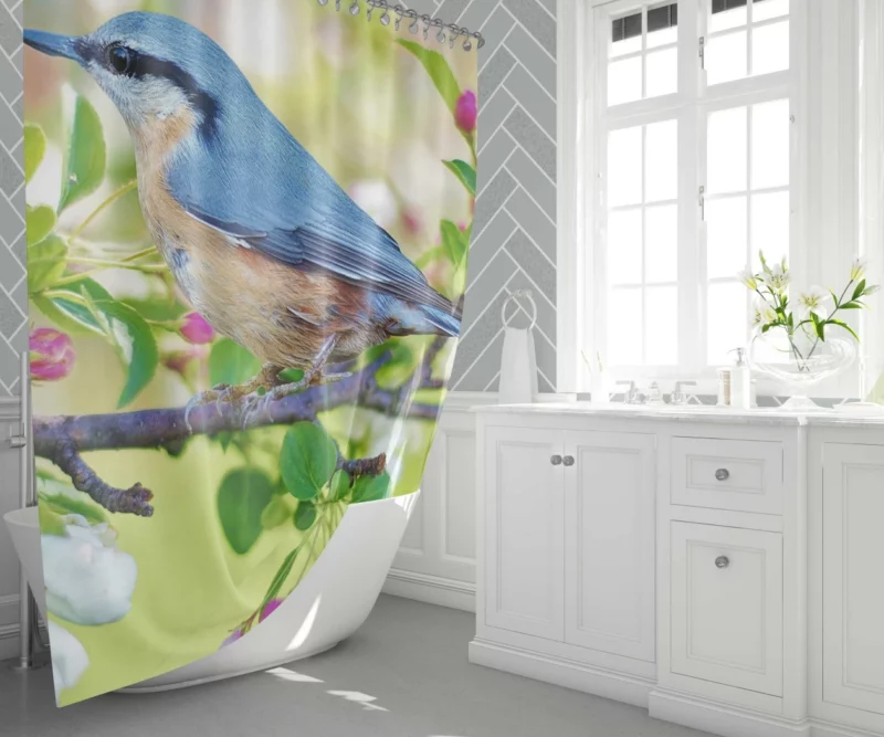 Nuthatch Vibrant Plumage Forest Dweller Shower Curtain 1