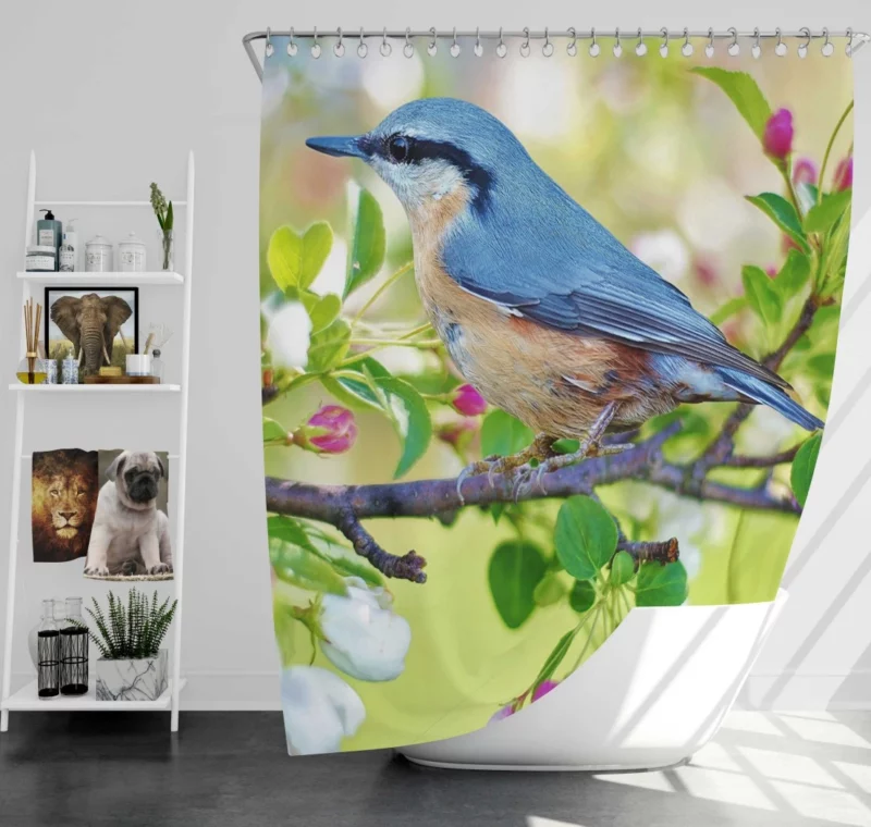 Nuthatch Vibrant Plumage Forest Dweller Shower Curtain