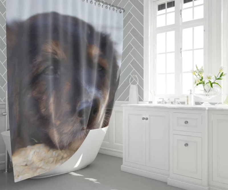 Oil Painting Dog Cute Innocence Shower Curtain 1