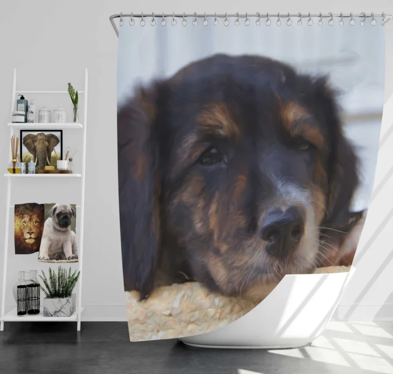 Oil Painting Dog Cute Innocence Shower Curtain