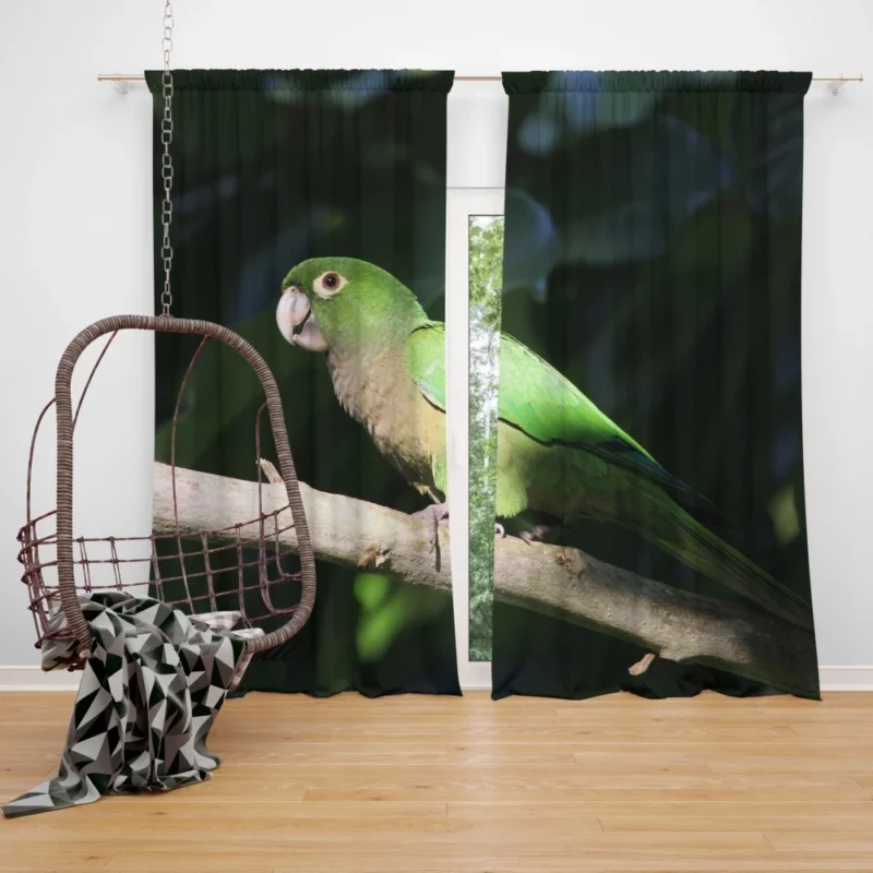 Olive-Throated Parakeet Colorful Charm Curtain