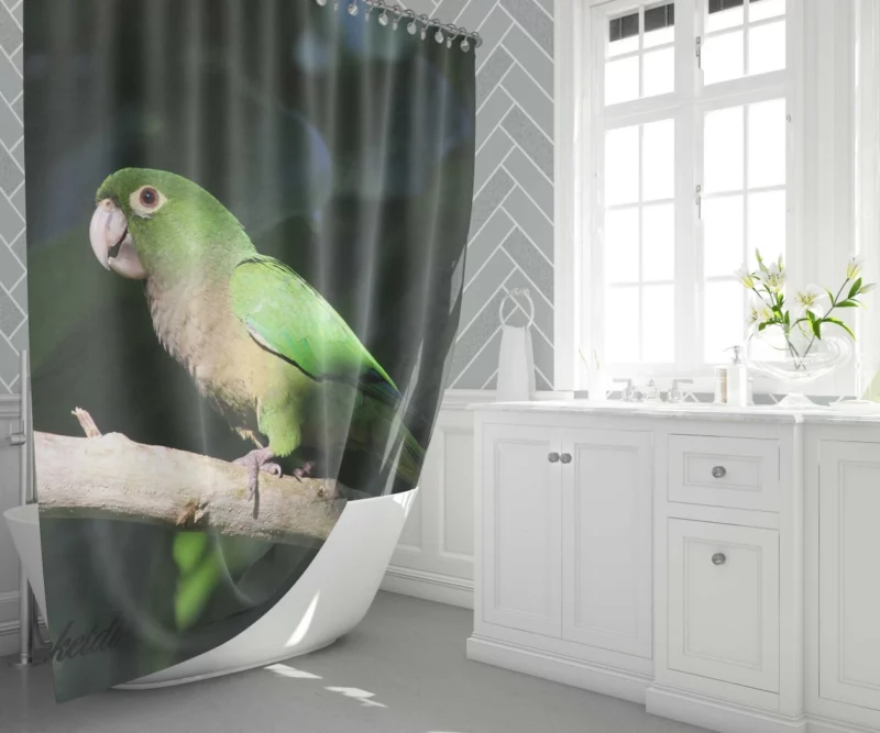 Olive-Throated Parakeet Colorful Charm Shower Curtain 1