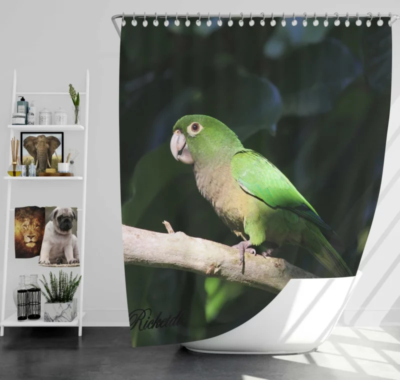 Olive-Throated Parakeet Colorful Charm Shower Curtain