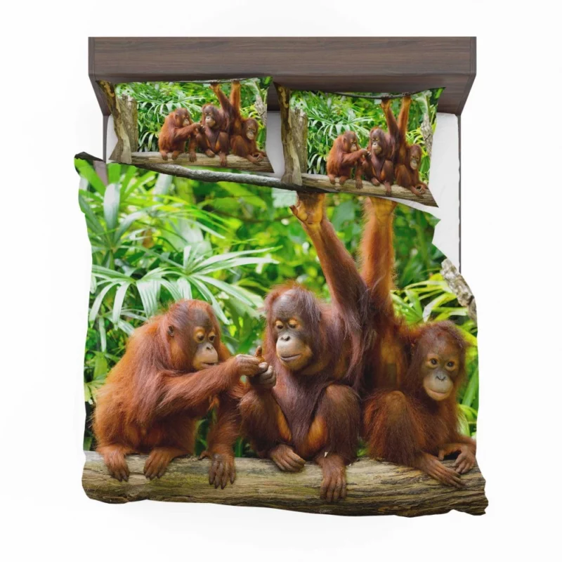 Orangutan Duo Nature Playful Spirits Bedding Set 1