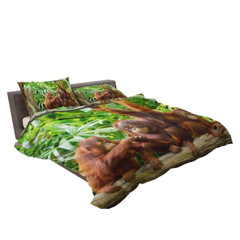 Orangutan Duo Nature Playful Spirits Bedding Set 2